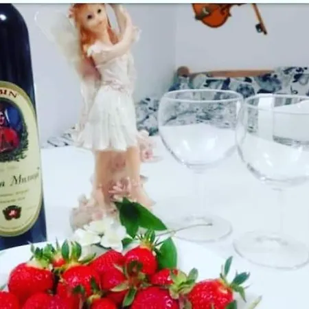 Smestaj Stanisavljevic Lejlighed Sokobanja