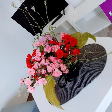 Smestaj Stanisavljevic * 소코 반자