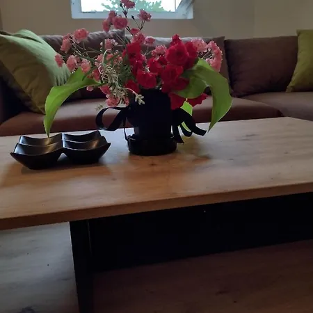 Apartment Smestaj Stanisavljevic *