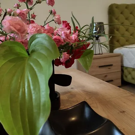 Smestaj Stanisavljevic 소코 반자